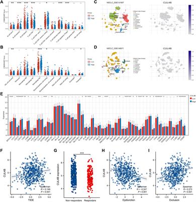 Histone ubiquitination-related gene CUL4B promotes lung adenocarcinoma progression and cisplatin resistance